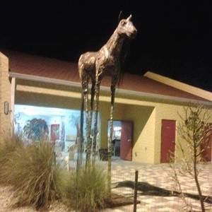 Meet your Posher, Barbara